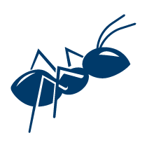 002 ant