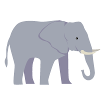 018 elephant