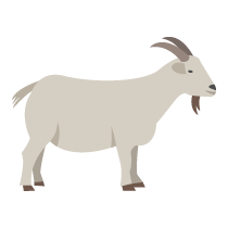 022 goat