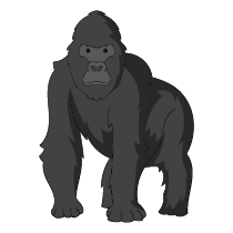023 gorilla