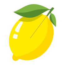 040 lemon