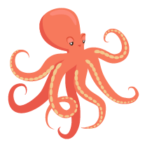 050 octopus