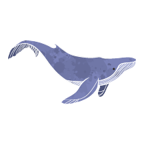 085 whale