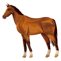 193 horse