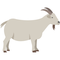 07 oa 02 goat