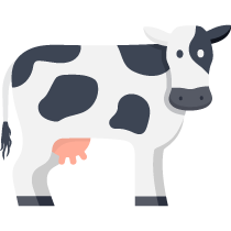 10 ow2 01 cow