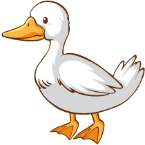 26 t d 05 duck